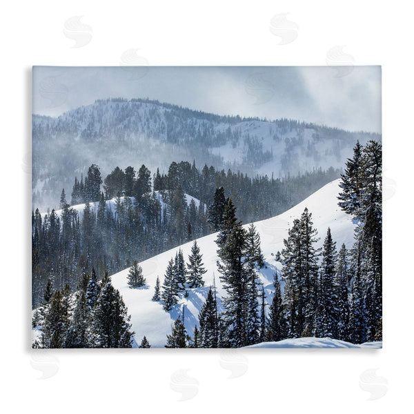 stupell industries Steve Smith | Quiet Snowy Mountain Slopes Scattered Fir Trees Wall Art