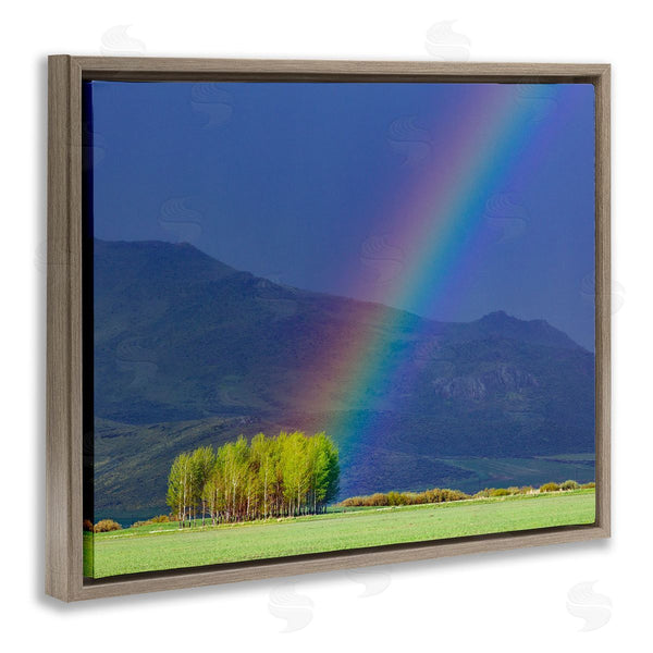 Stupell Industries Steve Smith | Uplifting Rainbow Rays Tree Grove Mountain Landscape Wall Art