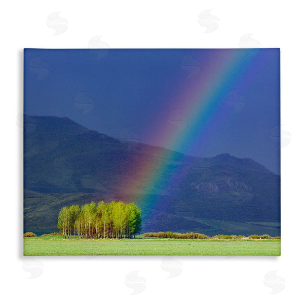 stupell industries Steve Smith | Uplifting Rainbow Rays Tree Grove Mountain Landscape Wall Art