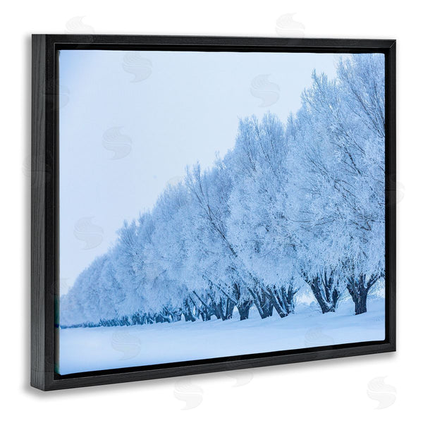 Stupell Industries Steve Smith | Winter Tree Grove Snow Covered Branches Photography Wall Art