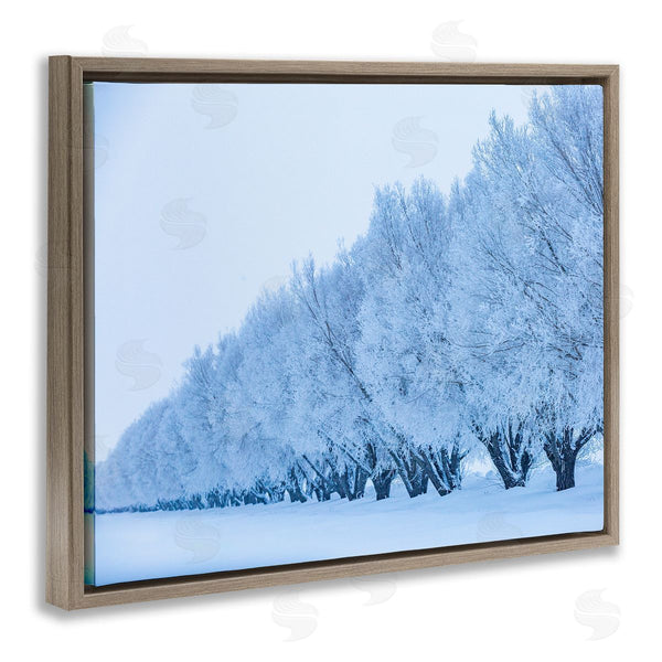 Stupell Industries Steve Smith | Winter Tree Grove Snow Covered Branches Photography Wall Art