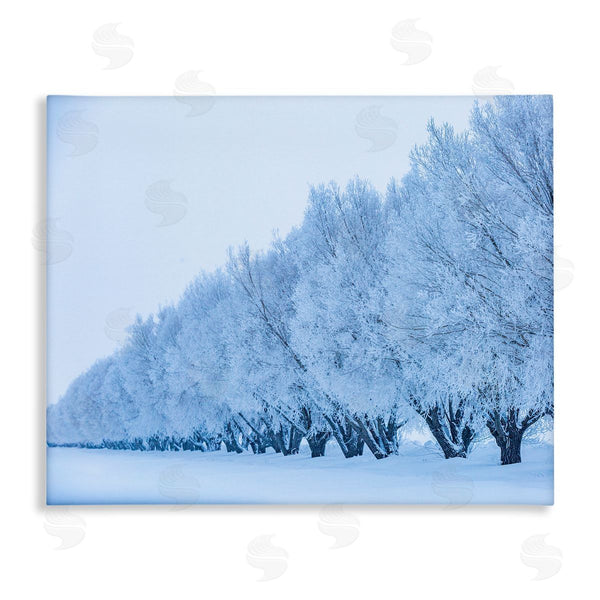 stupell industries Steve Smith | Winter Tree Grove Snow Covered Branches Photography Wall Art