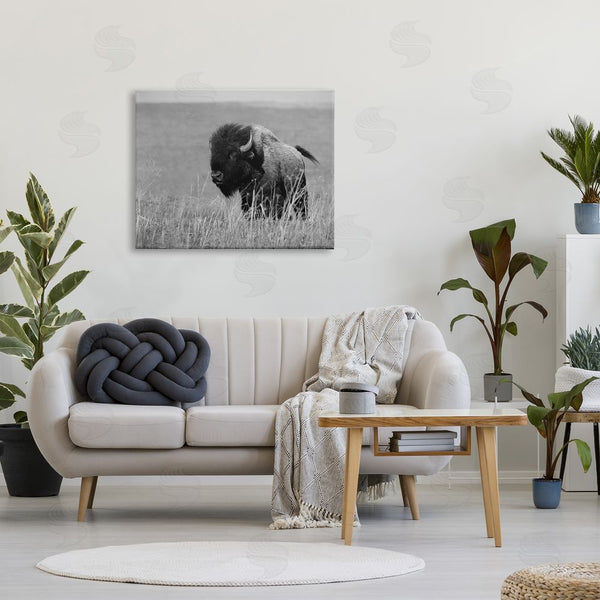 Stupell Industries Steve Toole | Bison Grazing In Field Wall Art