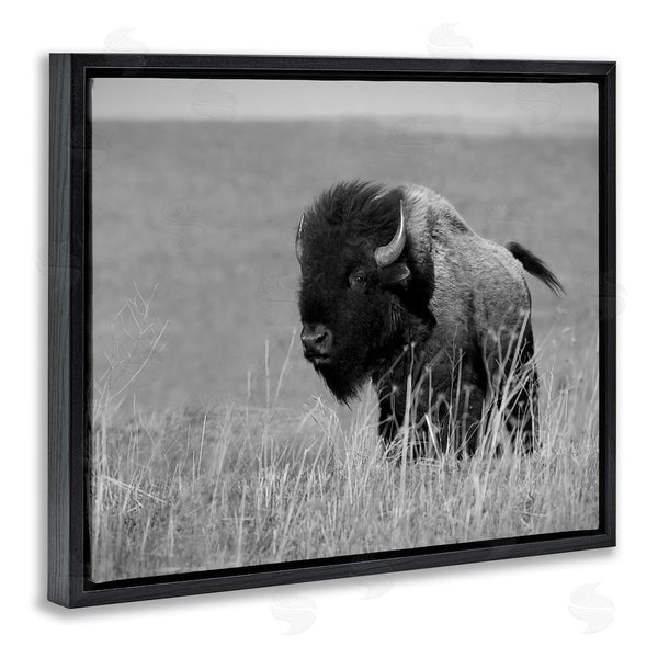 Stupell Industries Steve Toole | Bison Grazing In Field Wall Art