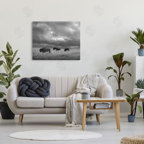 Stupell Industries Steve Toole | Bison In Cloudy Field Wall Art