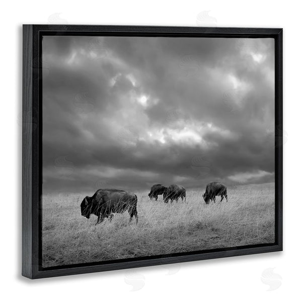 Stupell Industries Steve Toole | Bison In Cloudy Field Wall Art