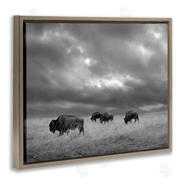 Stupell Industries Steve Toole | Bison In Cloudy Field Wall Art