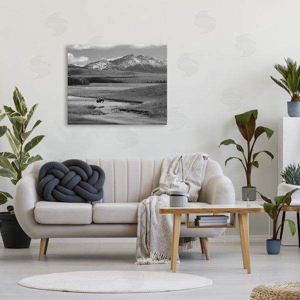 Stupell Industries Steve Toole | Bison In Mountain Scene Wall Art