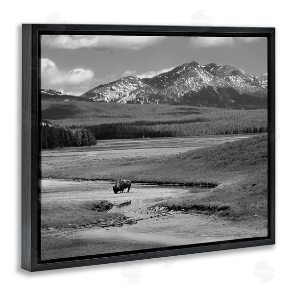 Stupell Industries Steve Toole | Bison In Mountain Scene Wall Art