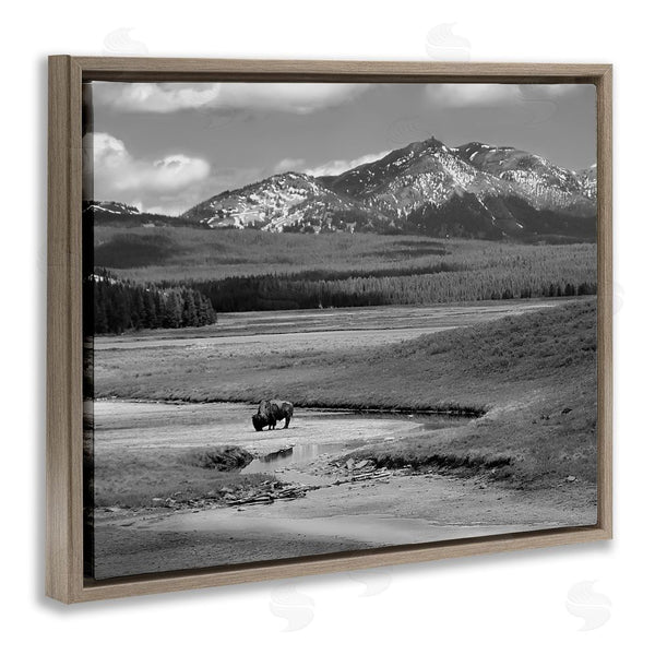 Stupell Industries Steve Toole | Bison In Mountain Scene Wall Art