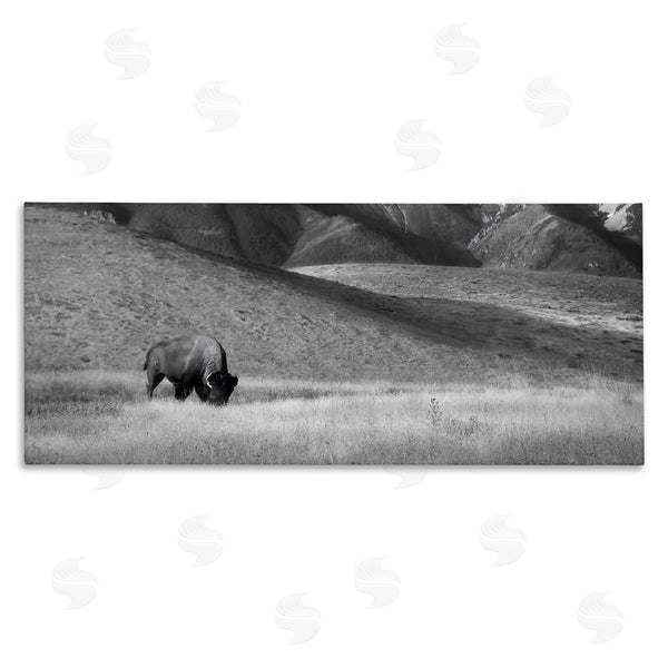 stupell industries Steve Toole | Bison with Mountain Peaks Wall Art