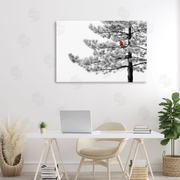 Stupell Industries Steve Toole | Cardinal In Stark Winter Tree Wall Art