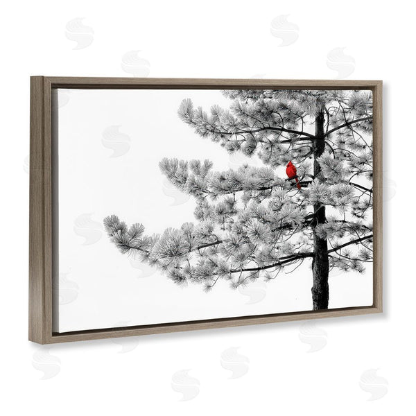 Stupell Industries Steve Toole | Cardinal In Stark Winter Tree Wall Art