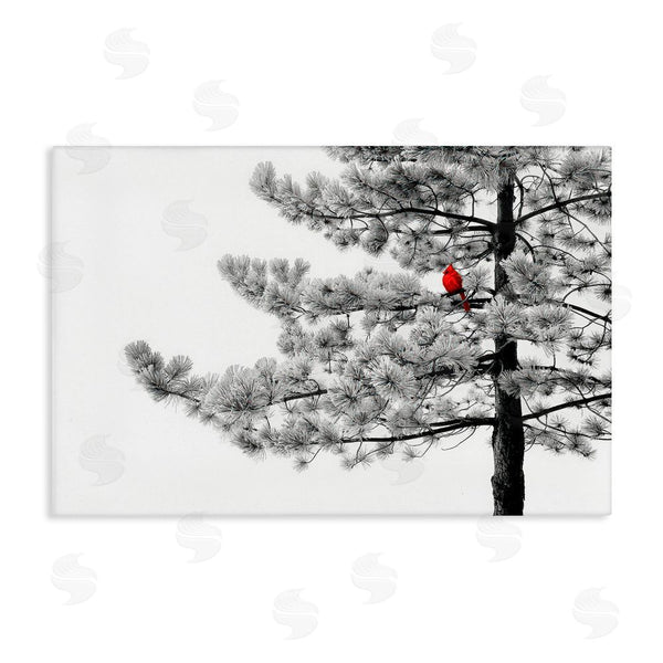 stupell industries Steve Toole | Cardinal in Stark Winter Tree Wall Art