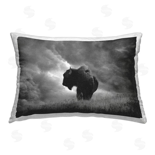 Stupell Industries Steve Toole | Cloudy Bison Portrait