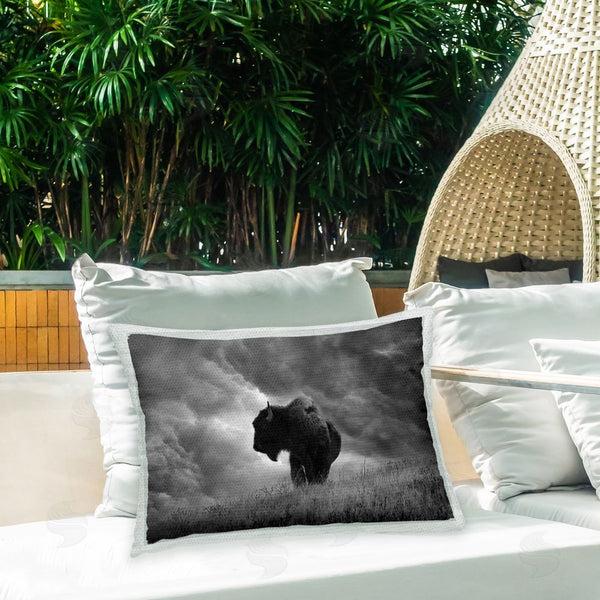 Stupell Industries Steve Toole | Cloudy Bison Portrait