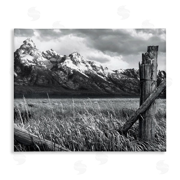 stupell industries Steve Toole | Grassland Fence Photography Wall Art