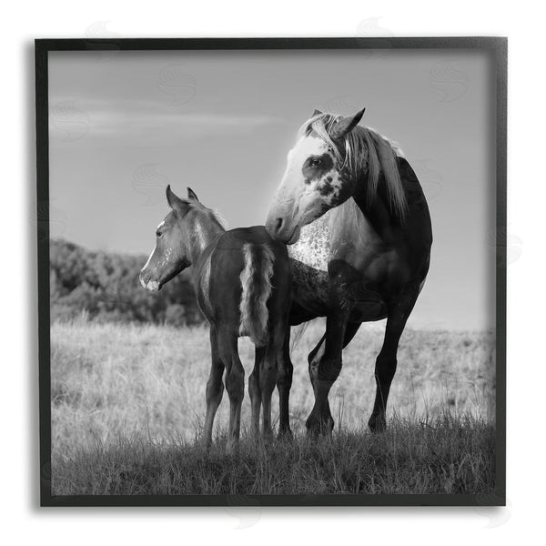 Stupell Industries Steve Toole | Horse & Foal Photography