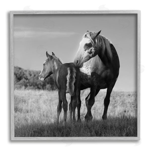 Stupell Industries Steve Toole | Horse & Foal Photography