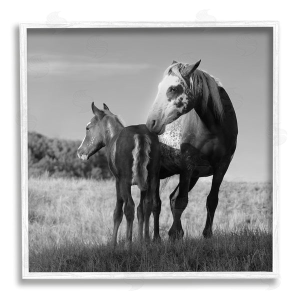 Stupell Industries Steve Toole | Horse & Foal Photography