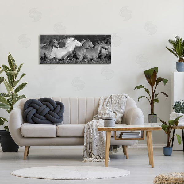Stupell Industries Steve Toole | Horse Herd Galloping Wall Art