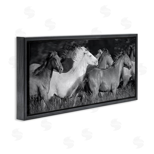 Stupell Industries Steve Toole | Horse Herd Galloping Wall Art