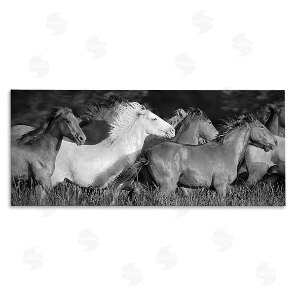 stupell industries Steve Toole | Horse Herd Galloping Wall Art