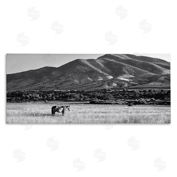 stupell industries Steve Toole | Horse in Mountains Wall Art