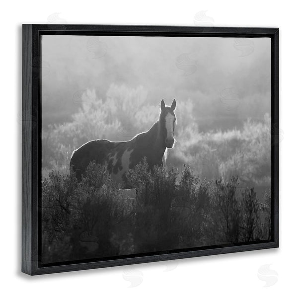 Stupell Industries Steve Toole | Horse In Nature Trees Wall Art