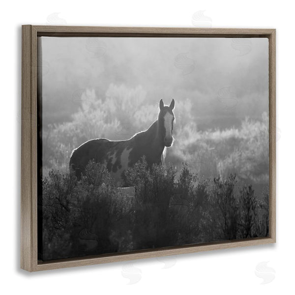 Stupell Industries Steve Toole | Horse In Nature Trees Wall Art