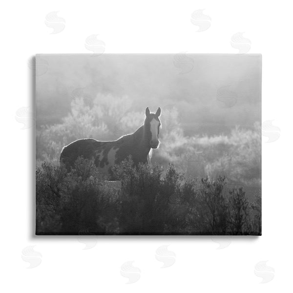 stupell industries Steve Toole | Horse in Nature Trees Wall Art