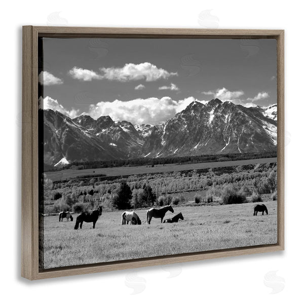 Stupell Industries Steve Toole | Horses Grazing Countryside Wall Art