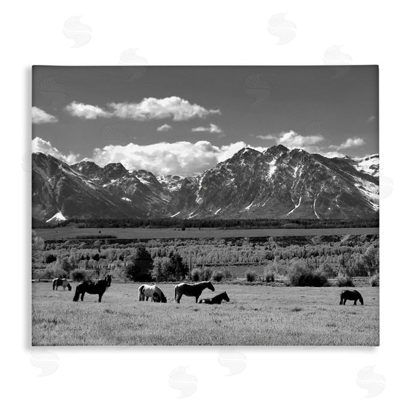 stupell industries Steve Toole | Horses Grazing Countryside Wall Art