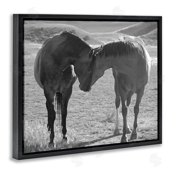 Stupell Industries Steve Toole | Horses Hugging Photography Wall Art
