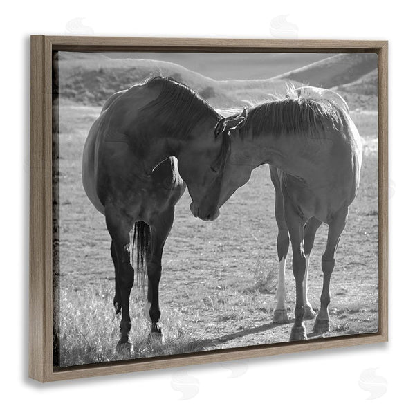 Stupell Industries Steve Toole | Horses Hugging Photography Wall Art