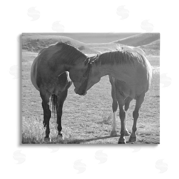 stupell industries Steve Toole | Horses Hugging Photography Wall Art