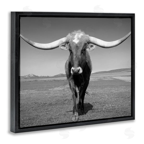 Stupell Industries Steve Toole | Longhorn In Countryside Wall Art