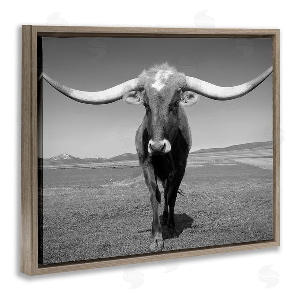 Stupell Industries Steve Toole | Longhorn In Countryside Wall Art
