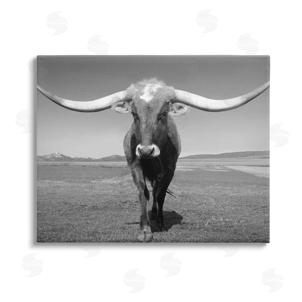 stupell industries Steve Toole | Longhorn in Countryside Wall Art