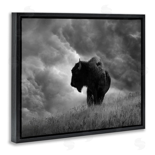 Stupell Industries Steve Toole | Ox In Cloudy Landscape