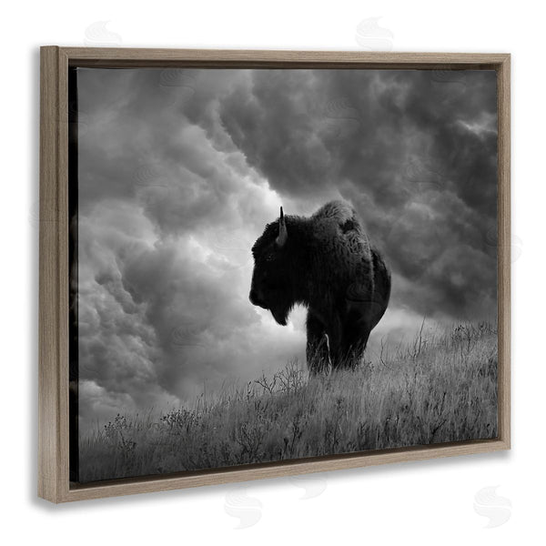 Stupell Industries Steve Toole | Ox In Cloudy Landscape