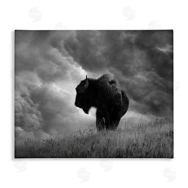 stupell industries Steve Toole | Ox in Cloudy Landscape