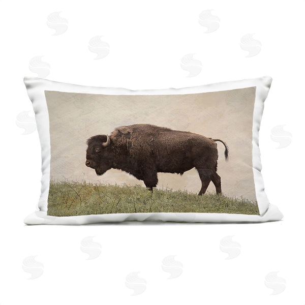 Stupell Industries Steve Toole | Serene Buffalo On Country Hill
