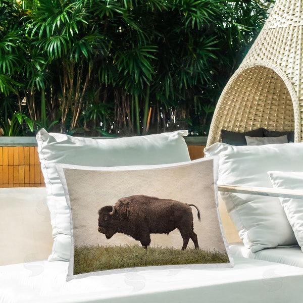 Stupell Industries Steve Toole | Serene Buffalo On Country Hill