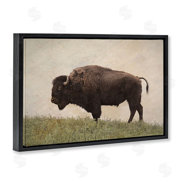 Stupell Industries Steve Toole | Serene Buffalo On Country Hill