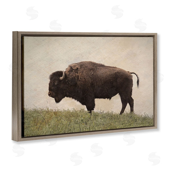 Stupell Industries Steve Toole | Serene Buffalo On Country Hill