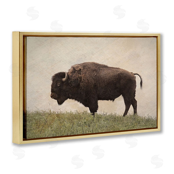 Stupell Industries Steve Toole | Serene Buffalo On Country Hill