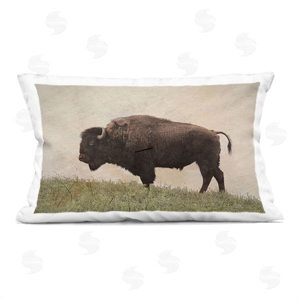 stupell industries Steve Toole | Serene Buffalo on Country Hill
