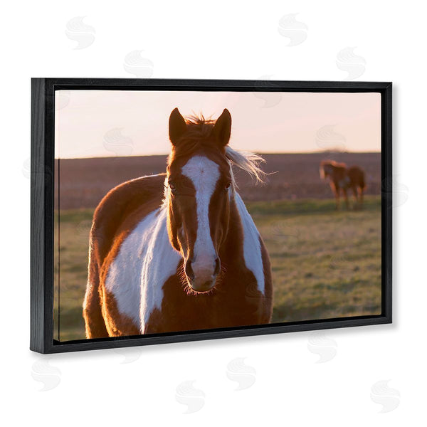 Stupell Industries Steve Toole | Spotted Horse In Rural Countryside
