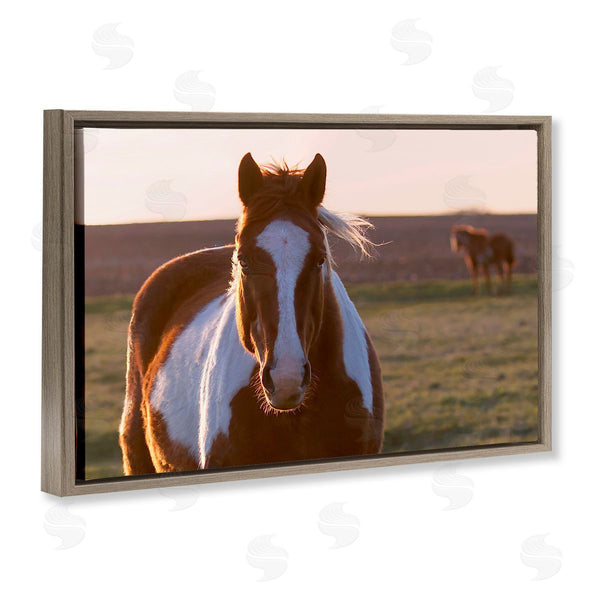 Stupell Industries Steve Toole | Spotted Horse In Rural Countryside